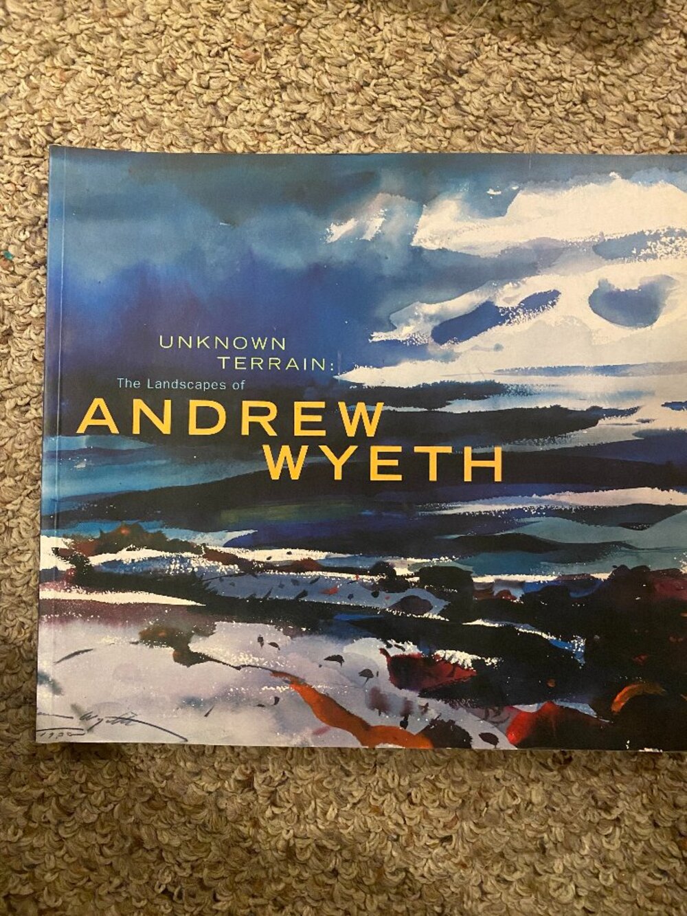 Andrew Wyeth landscapes book (softcover)
